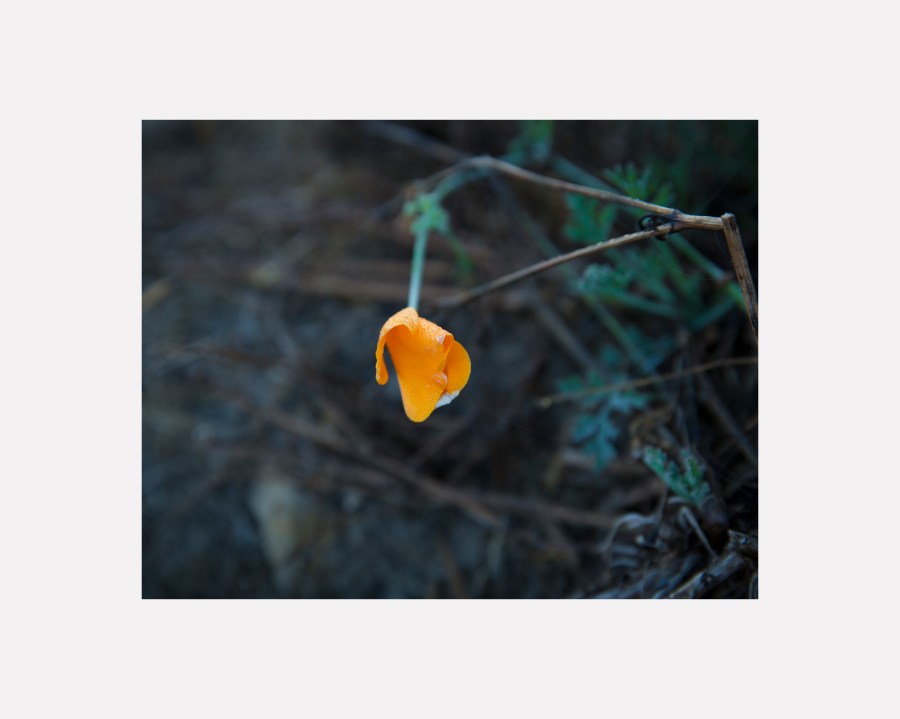 Series "Water" by Masha Melnik