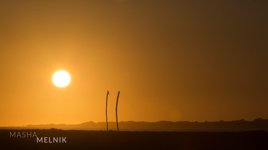 "Dancing Sunset" 2016. California. Experimental moment Photography Series. Contemporary Photography by Masha Melnik. Canon EOS Mark 5 III. Canon Lens 70-200 mm Ultrasonic f 2.8 USM. Recommended for Decorating in Modern Contemporary Styles. Best size for printing in Acrylic 40"-26”. 