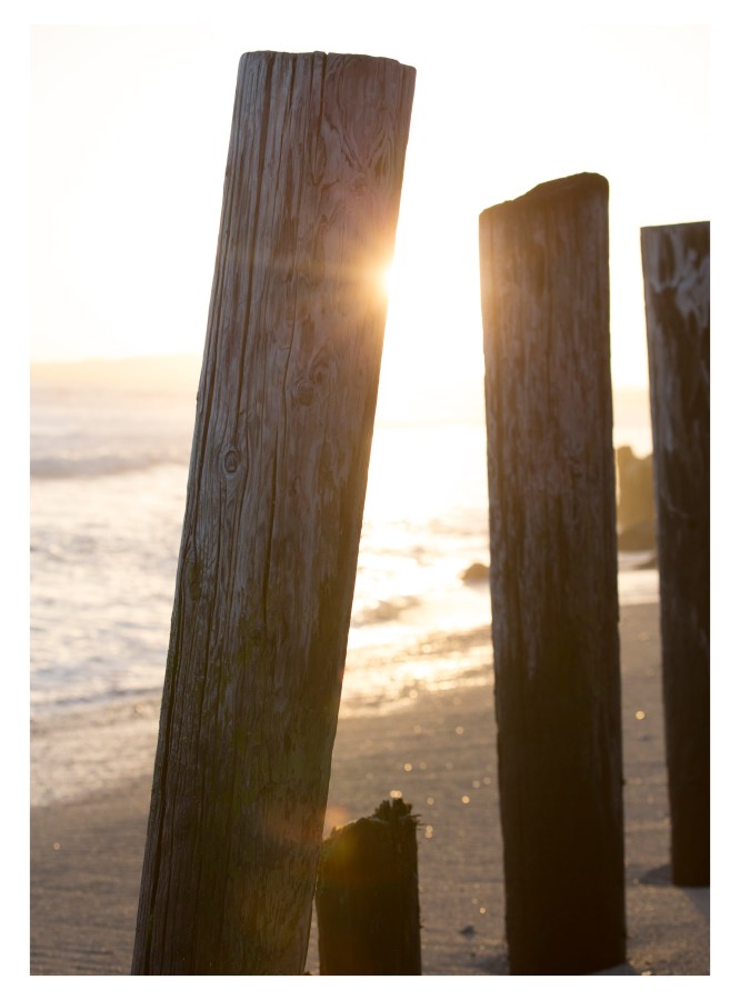 "Rhythm" by Masha Melnik