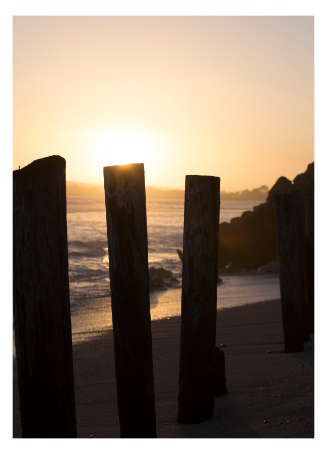 "Rhythm" by Masha Melnik