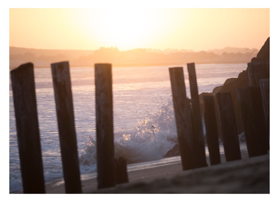 "Rhythm" by Masha Melnik