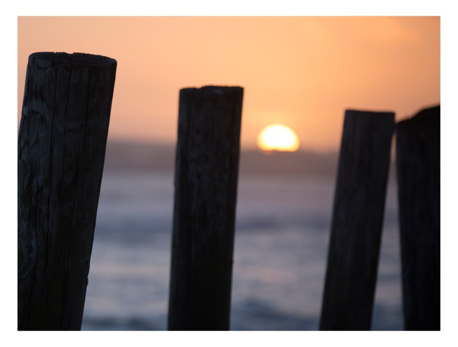 "Rhythm" by Masha Melnik