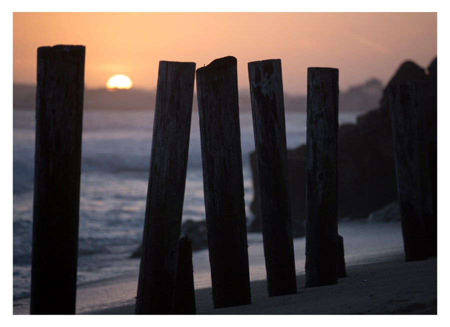 "Rhythm" by Masha Melnik