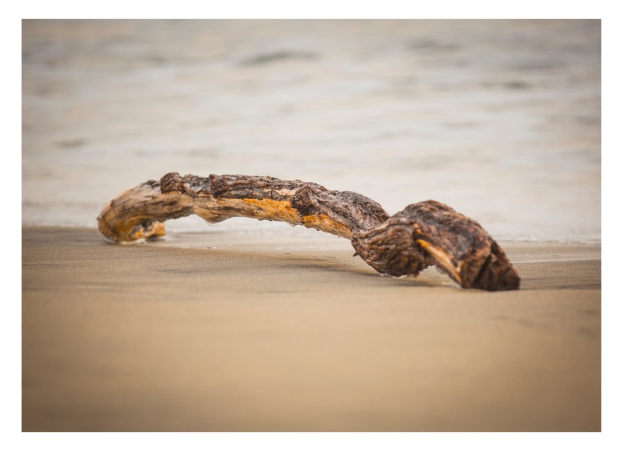 "Rhythm" by Masha Melnik