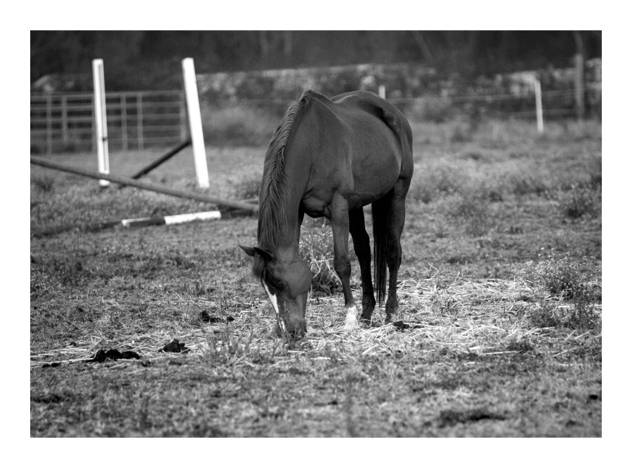 "Rhythm" by Masha Melnik