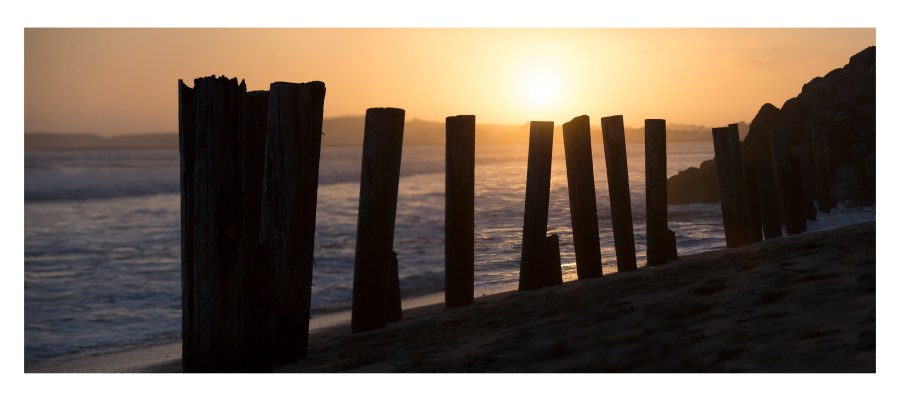 "Rhythm" by Masha Melnik