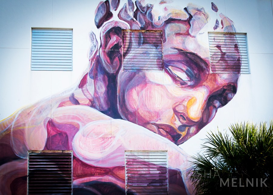 "Miami Street ART" Design District,  Wynwood Walls. Created 2013 - 2016 year. Moment Inspiration Photography Series by Masha Melnik. Canon EOS Mark 5 III. Canon Lens 70-200 mm Ultrasonic f 2.8 USM. 