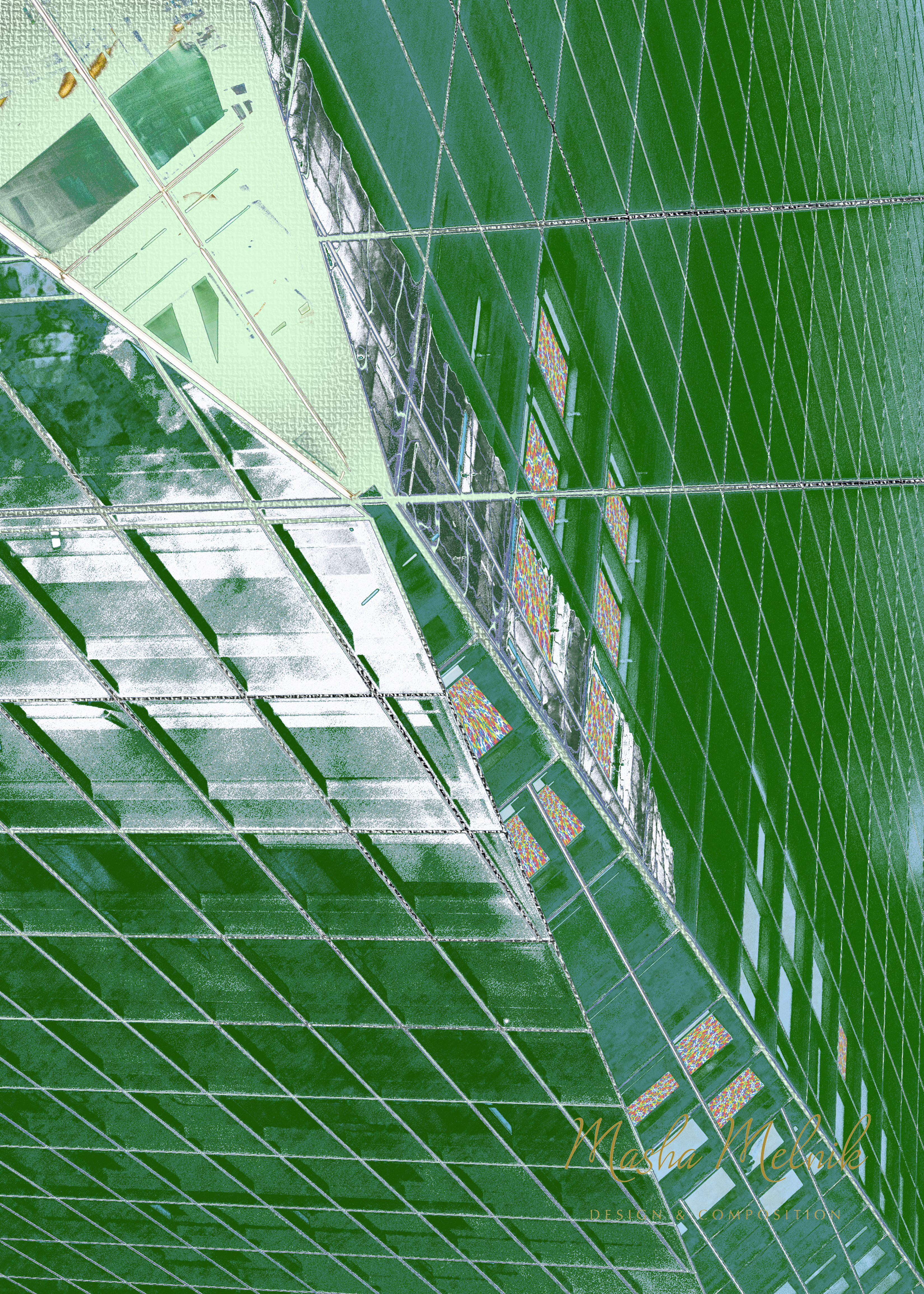 THE_LAZY_DOG_CITI_MELNIK6