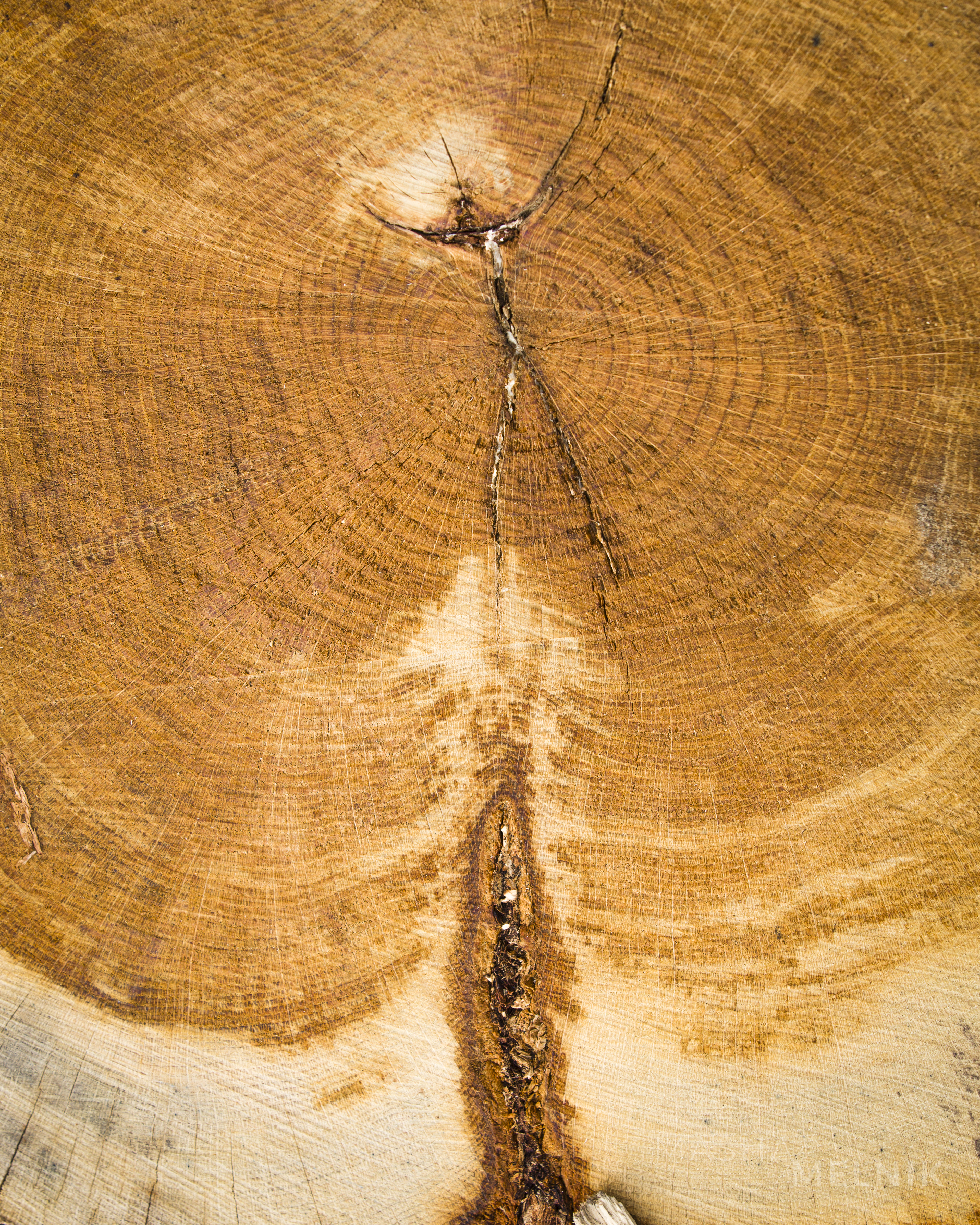 w1_jump_into_the_gap