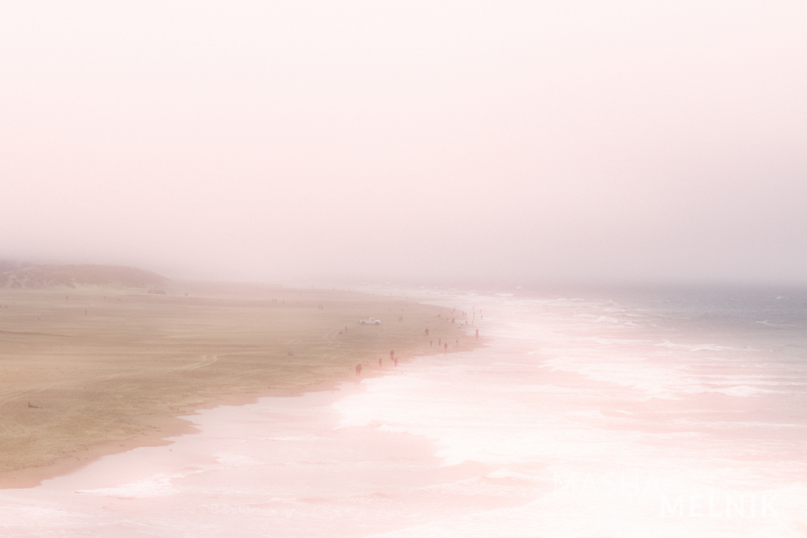 FOG2_MASHAMELNIK_2013