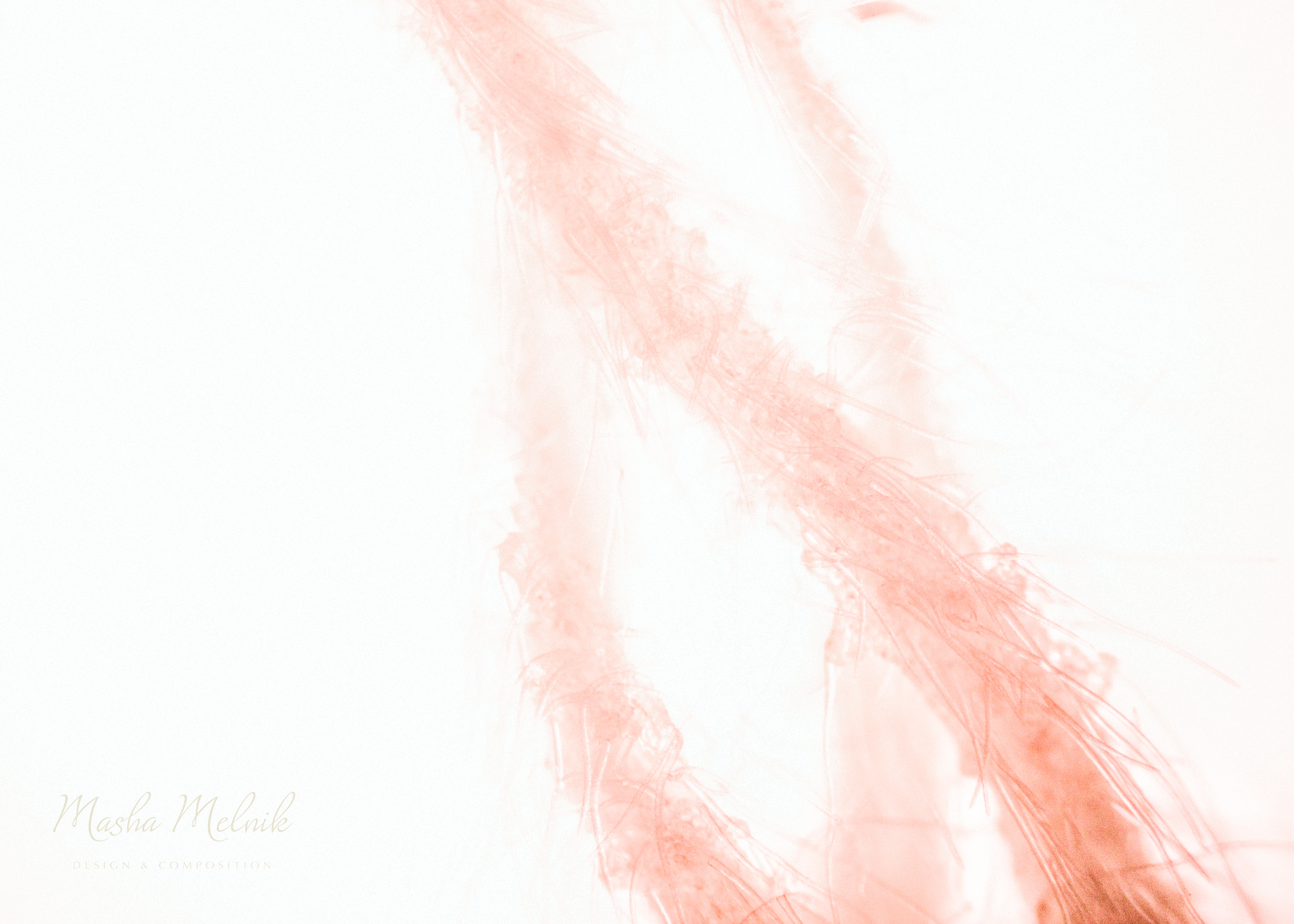 FLORA_FLOWER_MELNIK©1