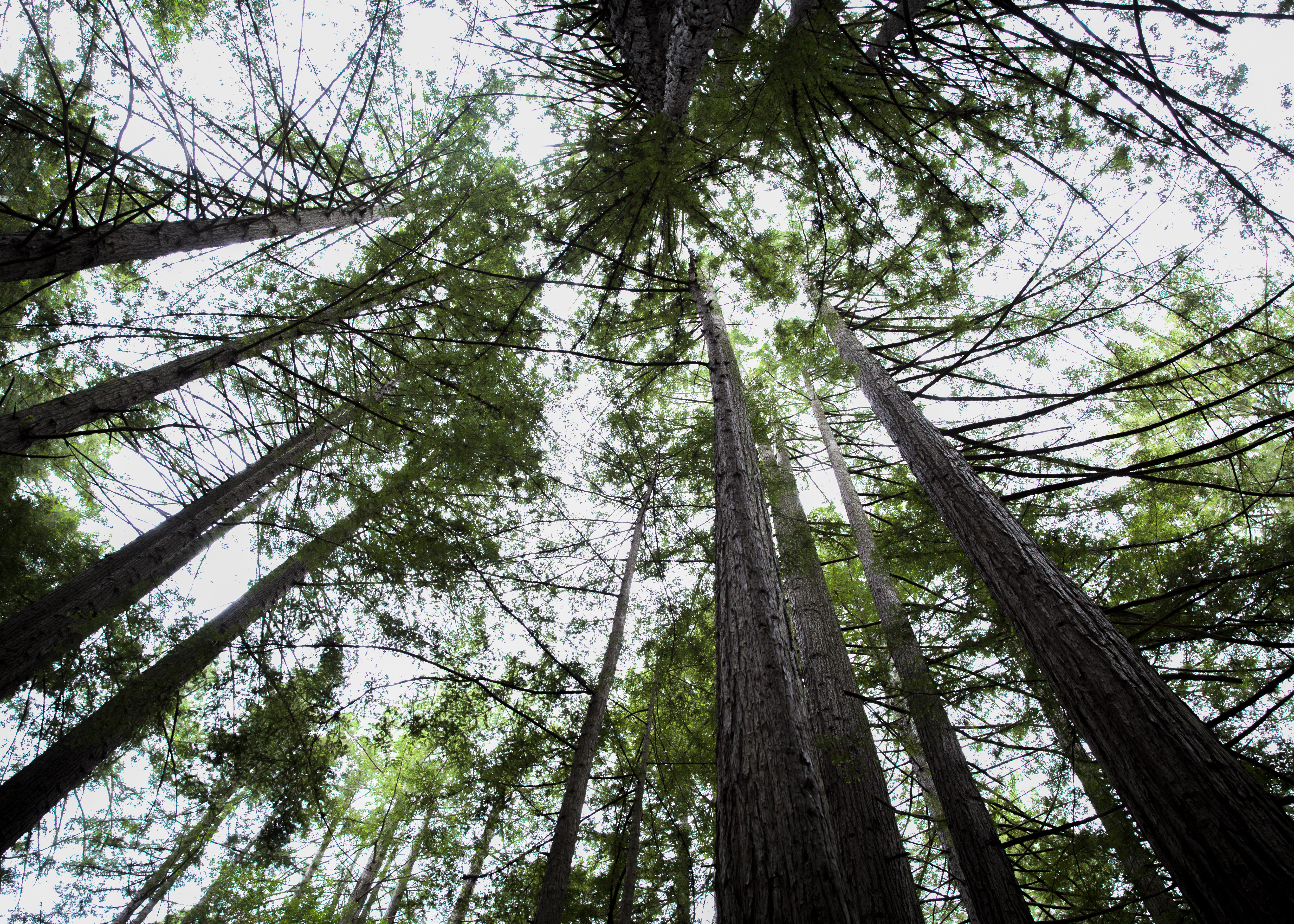 GREEN_GALLERY_MELNIK©3