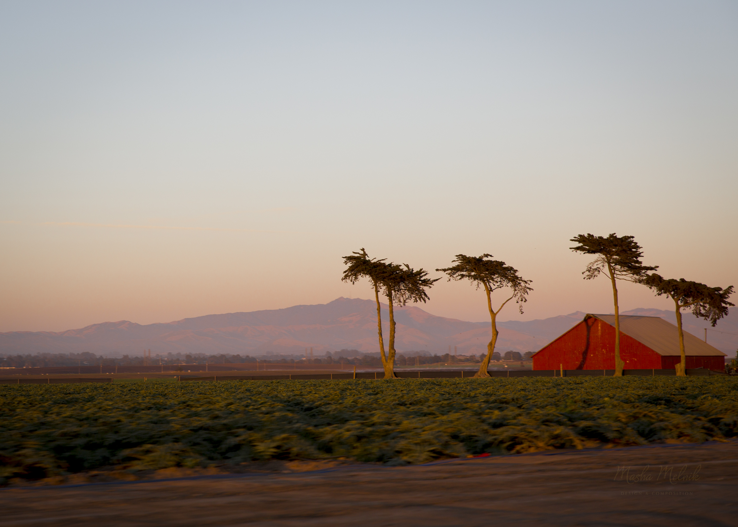 MONTEREY_MELNIK©_201610