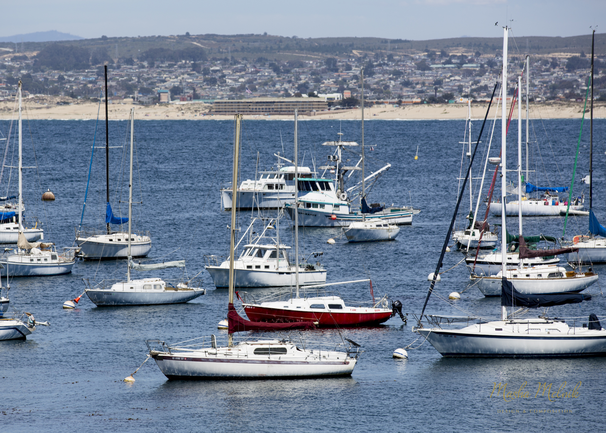 MONTEREY_MELNIK©_20164