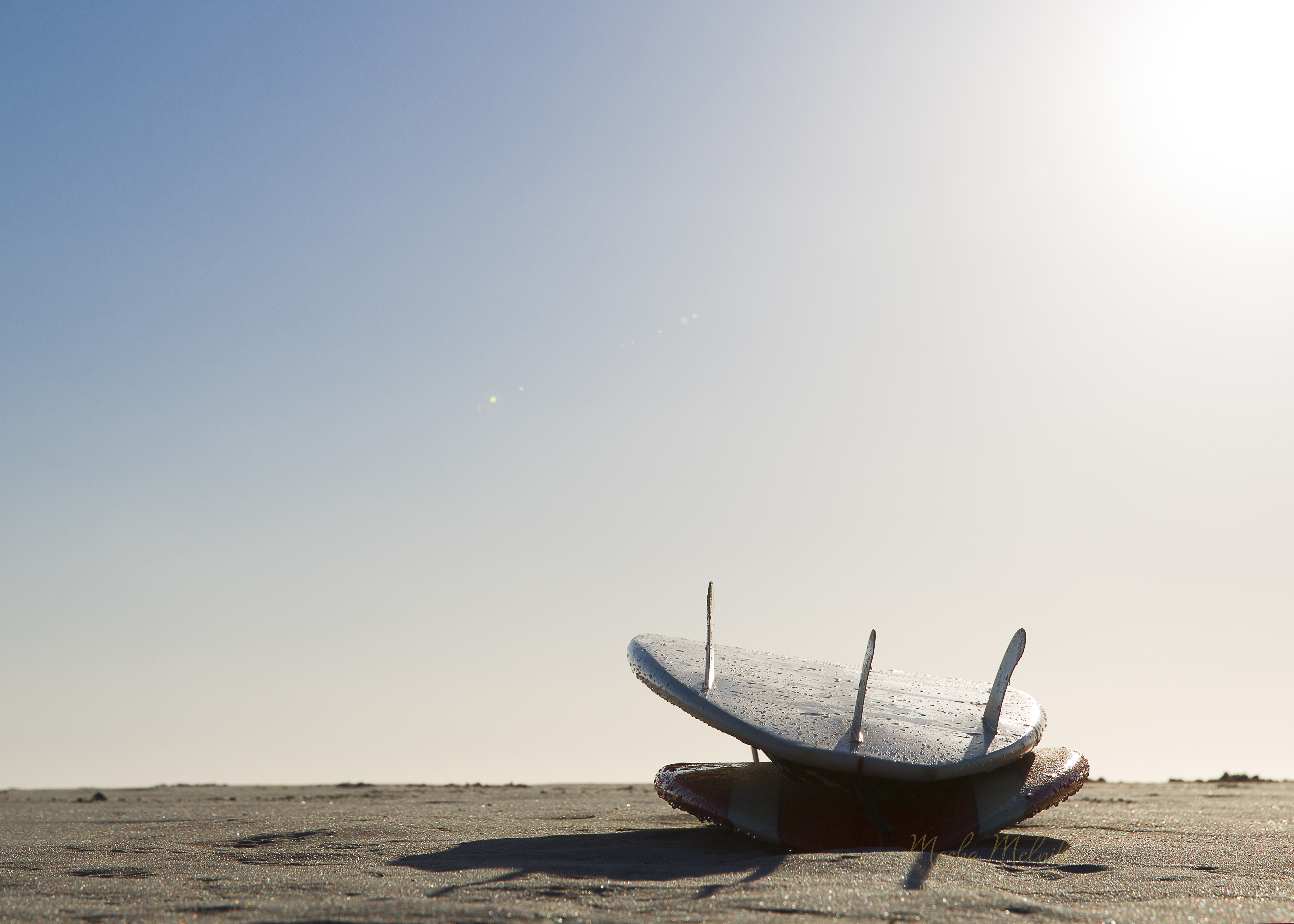 MONTEREY_MELNIK©_20167