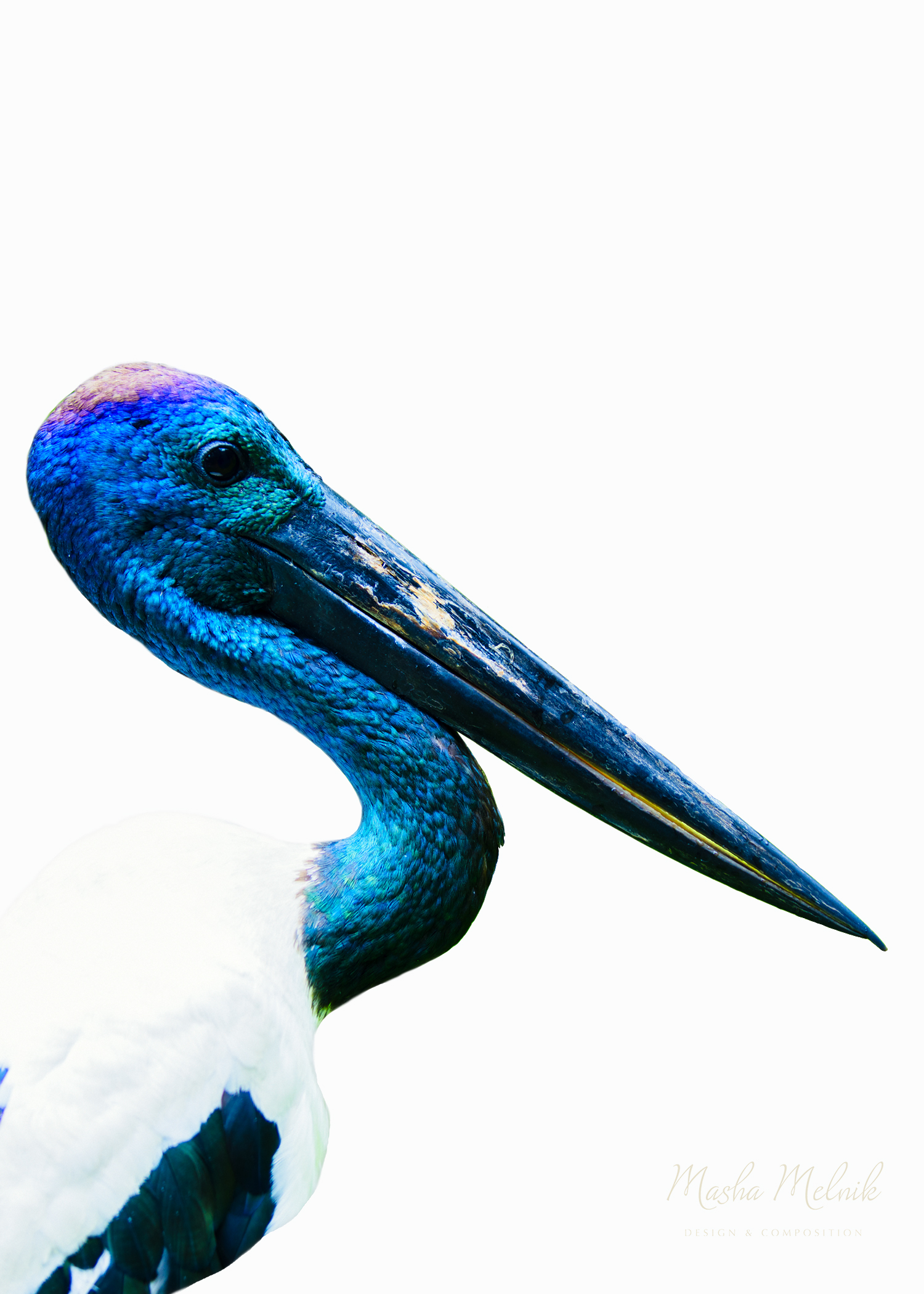 BIRD_MELNIK_AUSTRALIAsmalllogo