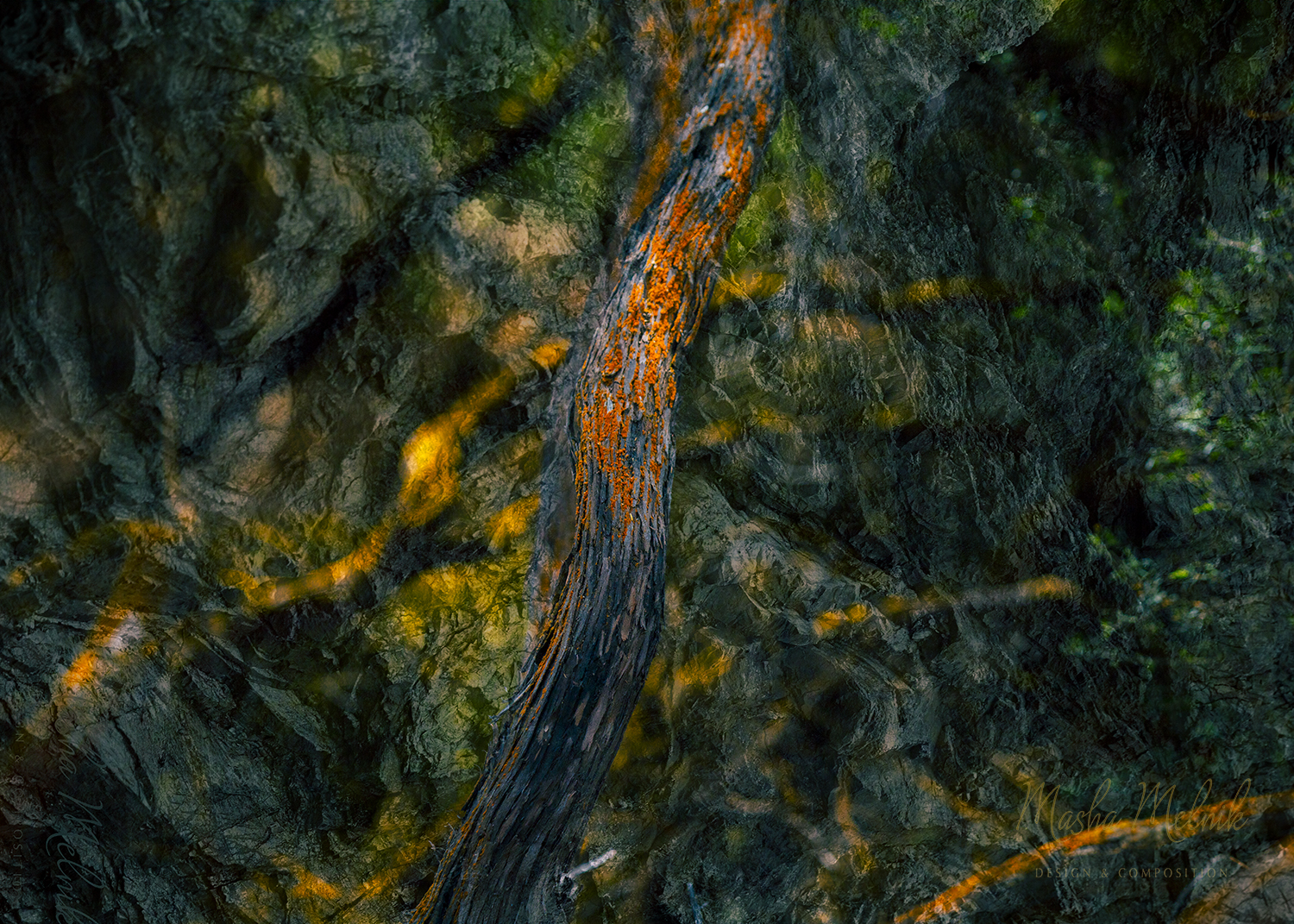 Melnik_treesstones_1