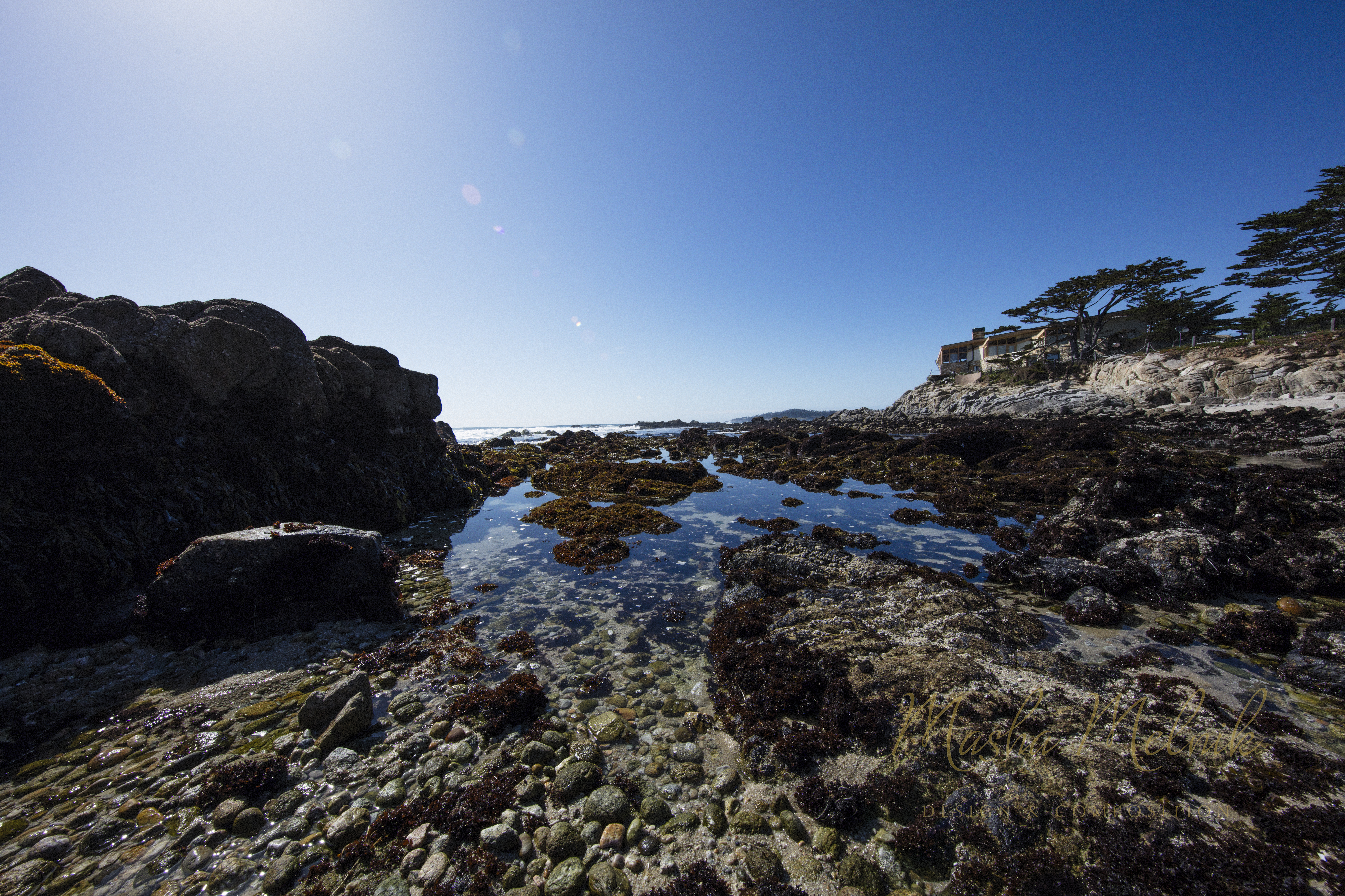 SPRING_CARMEL_2018_5