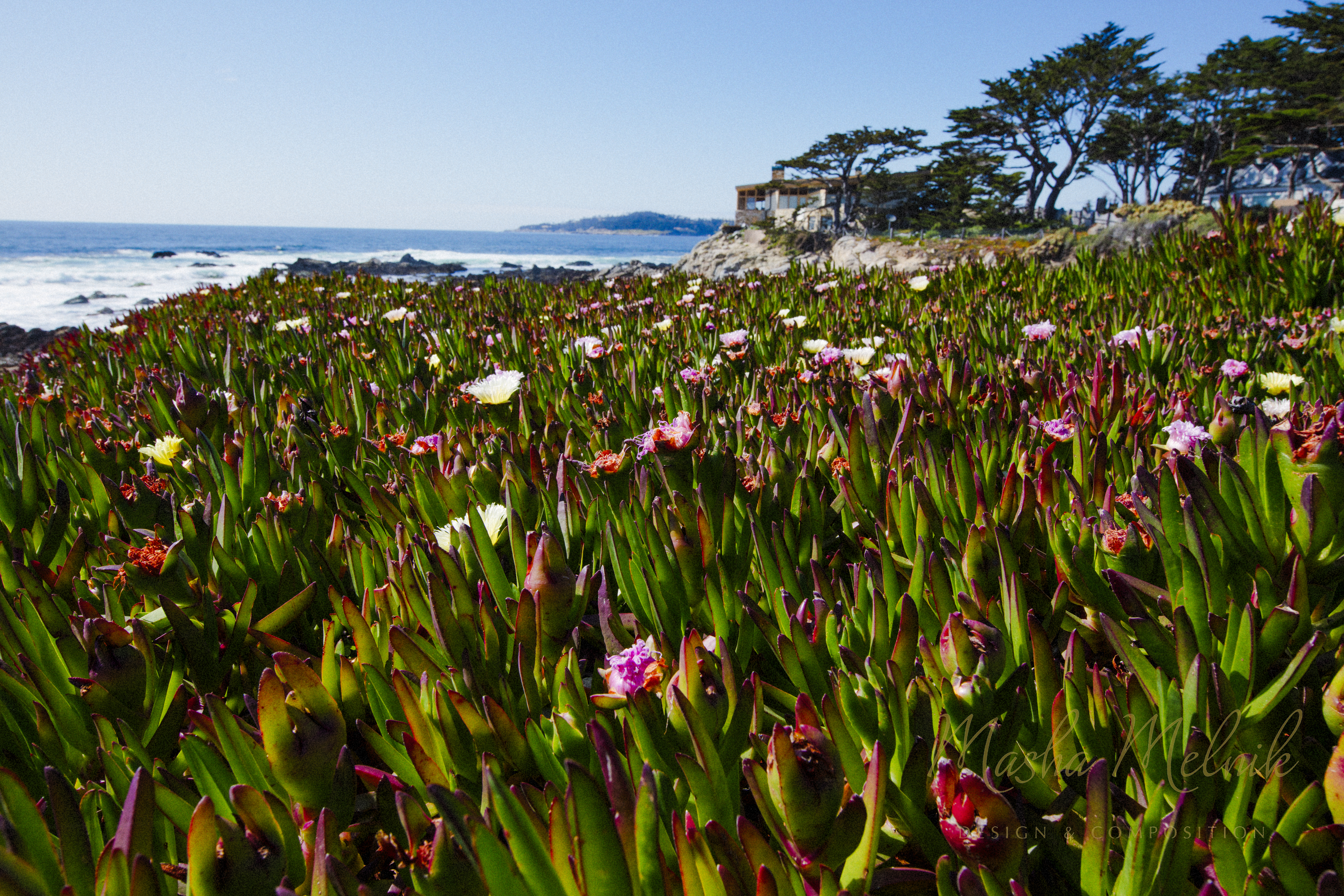 SPRING_CARMEL_2018_7