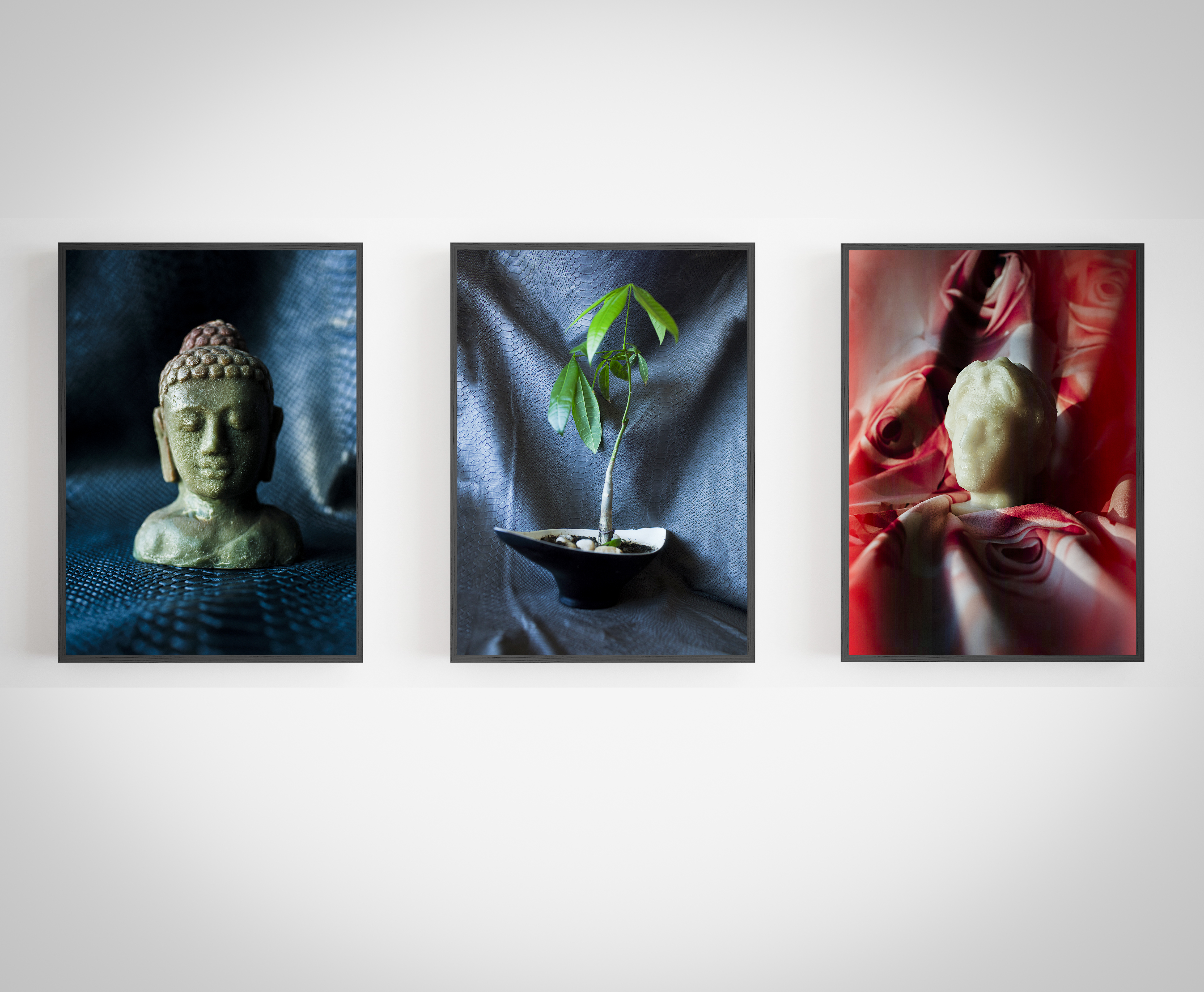 WAX&amp;PLANT_MELNIK_GALLERY_2